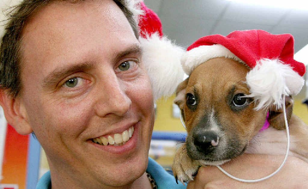Mackay Pet Superstore manager Brad Smith with a Staffordshire terrier puppy that would make a great Christmas present for a caring and responsible owner. Mackay Pet Superstore manager Brad Smith with a Staffordshire terrier puppy that would make a great Christmas present for a caring and responsible owner.