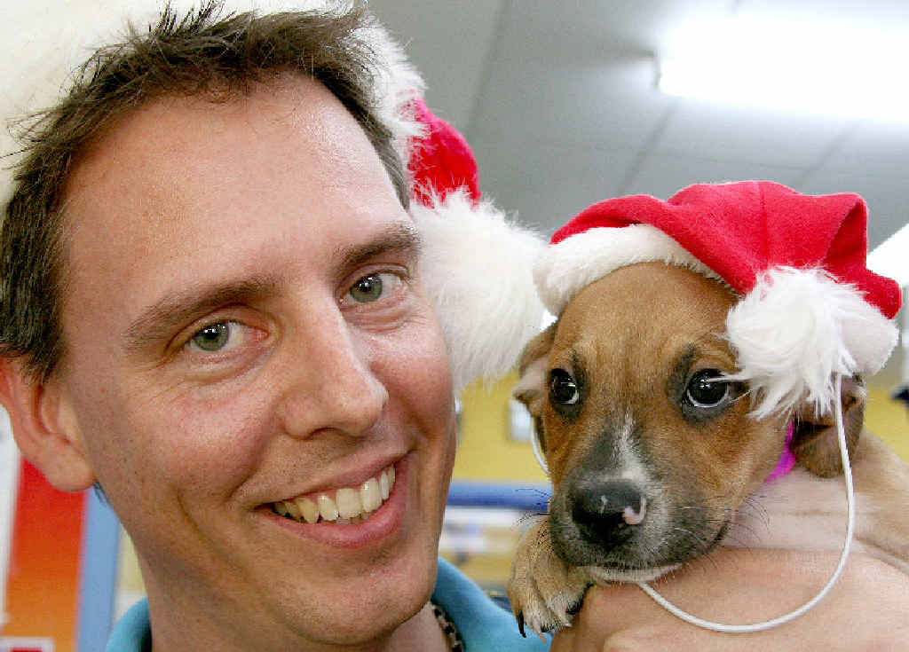 Mackay Pet Superstore manager Brad Smith with a Staffordshire terrier puppy that would make a great Christmas present for a caring and responsible owner. Mackay Pet Superstore manager Brad Smith with a Staffordshire terrier puppy that would make a great Christmas present for a caring and responsible owner.
