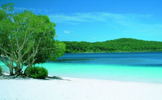 Fraser Island. Fraser Island.