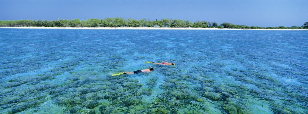 Environmental groups have released a video calling on Queensland's major parties to protect the Great Barrier Reef. Environmental groups have released a video calling on Queensland's major parties to protect the Great Barrier Reef.