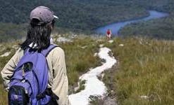 Tarkine Wilderness. Tarkine Wilderness.