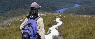 Tarkine Wilderness. Tarkine Wilderness.