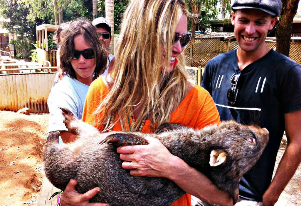 Elle Macpherson nursing Diesel the wombat at the Macadamia Castle. Elle Macpherson nursing Diesel the wombat at the Macadamia Castle.