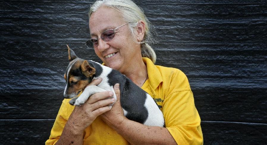 Sally Rogers of Happy Paws Haven nurses a 12-week-old fox terrier cross puppy who was abandoned by his owners at Christmas time. Sally Rogers of Happy Paws Haven nurses a 12-week-old fox terrier cross puppy who was abandoned by his owners at Christmas time.