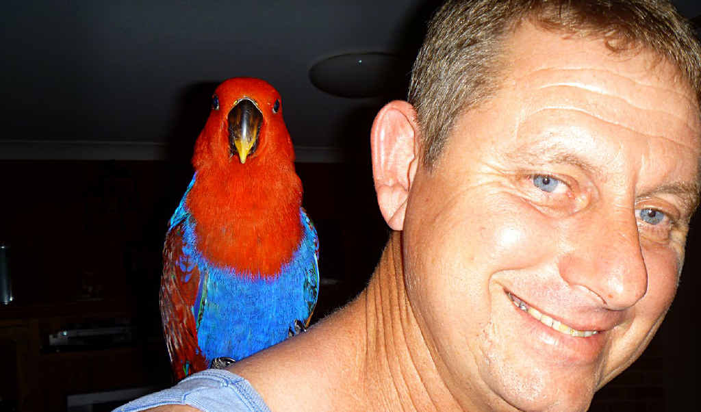 John Isaacson with Baby, the valuable ecclectus parrot that dropped in to see him and his family. John Isaacson with Baby, the valuable ecclectus parrot that dropped in to see him and his family.
