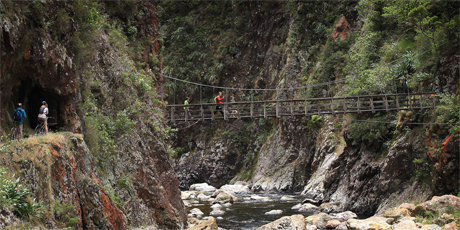 A swing bridge near the Talisman Mine. A swing bridge near the Talisman Mine.