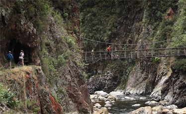A swing bridge near the Talisman Mine. A swing bridge near the Talisman Mine.