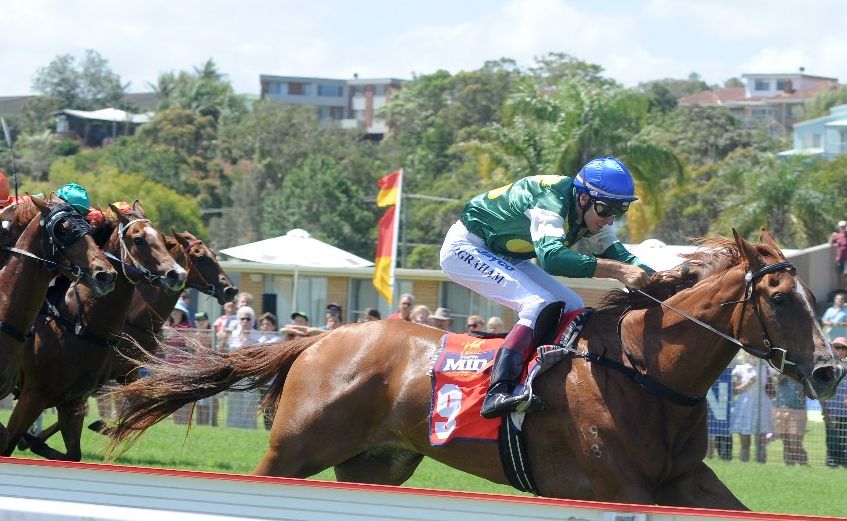 The Coffs Harbour track has been rated a Heavy (10) for this afternoon's TAB meeting. The Coffs Harbour track has been rated a Heavy (10) for this afternoon's TAB meeting.