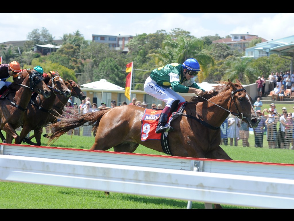 The Coffs Harbour track has been rated a Heavy (10) for this afternoon's TAB meeting. The Coffs Harbour track has been rated a Heavy (10) for this afternoon's TAB meeting.