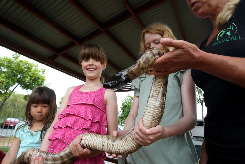 Hanna Booth, Alex Farago and Carolyn Farago with a black-headed Python. 