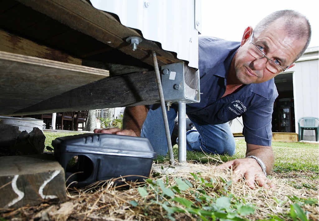 Brian Kneebone from Common Courtesy Pest Control places a tamper-proof bait station under an outdoor shed. Twelve months after the floods, rat infestations remain a common problem in Ipswich. Brian Kneebone from Common Courtesy Pest Control places a tamper-proof bait station under an outdoor shed. Twelve months after the floods, rat infestations remain a common problem in Ipswich.