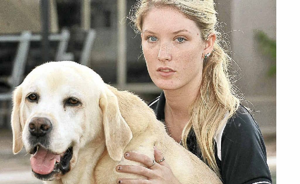 Daril Braeckmans hit and killed a labrador with her car and is disgusted that council didn’t check whether it had been microchipped before disposing of it. **Note - she is pictured with her friend's labrador, Buster, as her own dog, a Maltese Terrier, is in Townsville with her parents.** Daril Braeckmans hit and killed a labrador with her car and is disgusted that council didn’t check whether it had been microchipped before disposing of it. **Note - she is pictured with her friend's labrador, Buster, as her own dog, a Maltese Terrier, is in Townsville with her parents.**