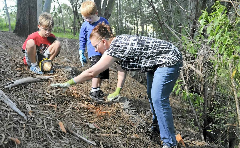 Kerri-Ann Elliott and her children Caelan, 3, and Connor, 9, have become regulars at Toadbusting this season with Conservation Volunteers. Kerri-Ann Elliott and her children Caelan, 3, and Connor, 9, have become regulars at Toadbusting this season with Conservation Volunteers.