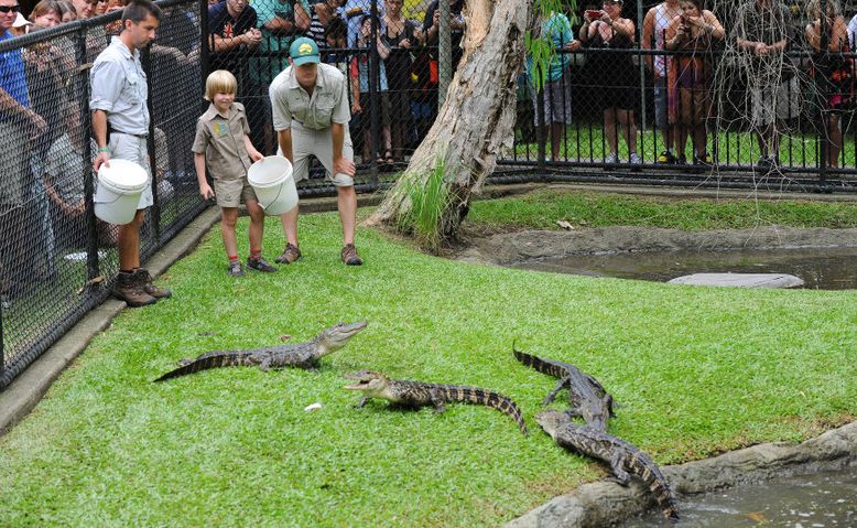 ROBERT Irwin feeds alligators for the first time at Australia Zoo ROBERT Irwin feeds alligators for the first time at Australia Zoo