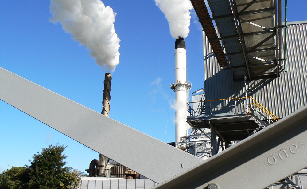 NSW Sugar Milling Cooperative closer to deciding its future Northern