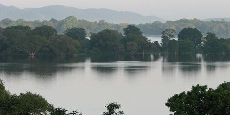 Sri Lanka's tranquil Kandalama Lake as seen from the Heritance Kandalama hotel. Sri Lanka's tranquil Kandalama Lake as seen from the Heritance Kandalama hotel.
