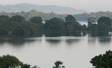 Sri Lanka's tranquil Kandalama Lake as seen from the Heritance Kandalama hotel. Sri Lanka's tranquil Kandalama Lake as seen from the Heritance Kandalama hotel.