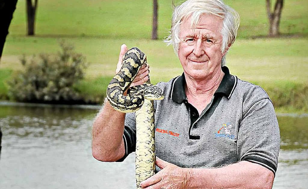 Snake catchers run off their feet Gympie Times