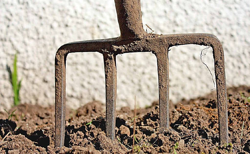 The idea of gardening as a therapy is gaining high-profile backing from some quarters. The idea of gardening as a therapy is gaining high-profile backing from some quarters.