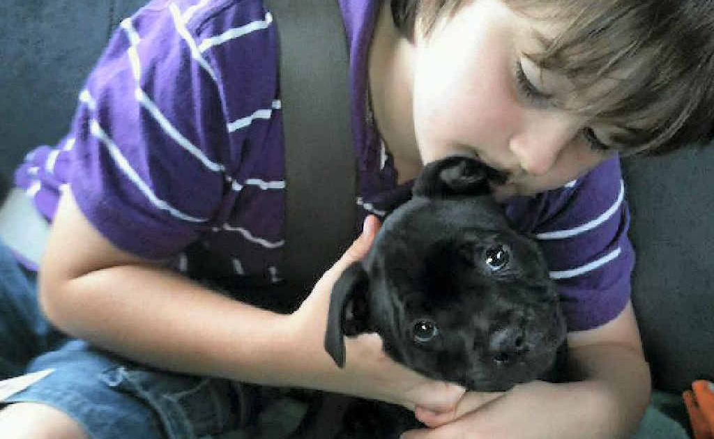 Kristy Hudson’s son Rogan Jay with their puppy Devlin before the dog was stolen, then found mauled in the front yard of their family home. Kristy Hudson’s son Rogan Jay with their puppy Devlin before the dog was stolen, then found mauled in the front yard of their family home.