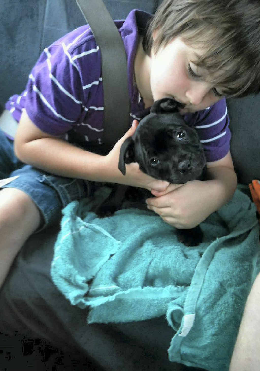 Kristy Hudson’s son Rogan Jay with their puppy Devlin before the dog was stolen, then found mauled in the front yard of their family home. Kristy Hudson’s son Rogan Jay with their puppy Devlin before the dog was stolen, then found mauled in the front yard of their family home.