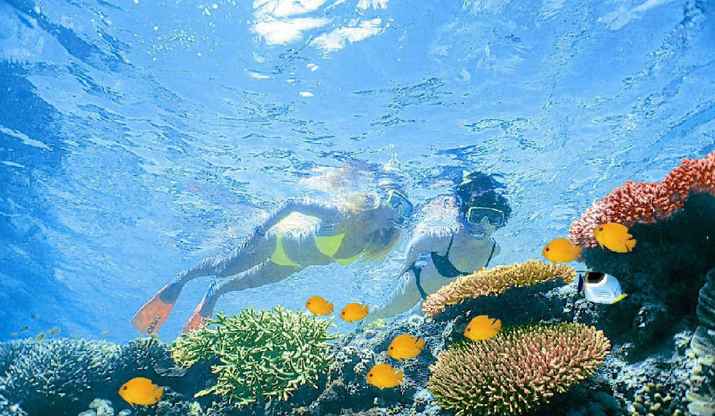 The Queensland Government has announced funding for a Great Barrier Reef water quality project. The Queensland Government has announced funding for a Great Barrier Reef water quality project.