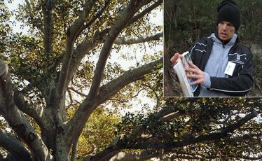 A huge Moreton Bay fig tree at The Golden Door Retreat. Nature walk guide David Ball (inset) points out some of the local birds in his guidebook.
A huge Moreton Bay fig tree at The Golden Door Retreat. Nature walk guide David Ball (inset) points out some of the local birds in his guidebook.