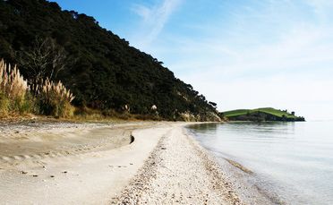 Waipiro Bay/Te Rau Puriri in the South Kaipara Peninsula is as remote as you can get. Waipiro Bay/Te Rau Puriri in the South Kaipara Peninsula is as remote as you can get.