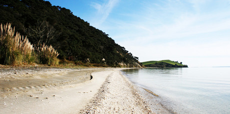 Waipiro Bay/Te Rau Puriri in the South Kaipara Peninsula is as remote as you can get. Waipiro Bay/Te Rau Puriri in the South Kaipara Peninsula is as remote as you can get.