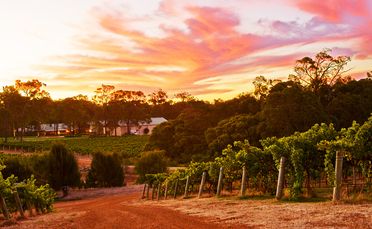 The Clairault winery in Margaret River.
The Clairault winery in Margaret River.