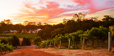 The Clairault winery in Margaret River.
The Clairault winery in Margaret River.