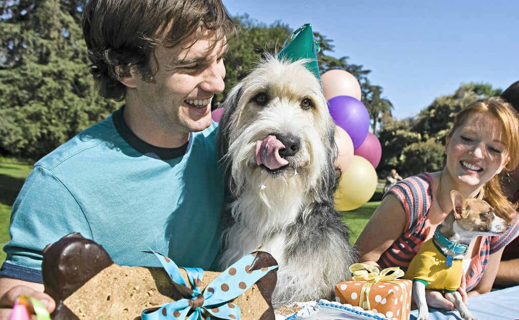 Australian pet owners are going to extra effort to treat their pets as part of the family. Australian pet owners are going to extra effort to treat their pets as part of the family.