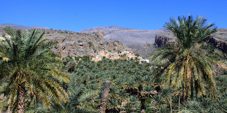 The Omani village of Misfat Al Abriyyin, blessed by cool, crisp, mountain water, lives up to its reputation as paradise.
The Omani village of Misfat Al Abriyyin, blessed by cool, crisp, mountain water, lives up to its reputation as paradise.