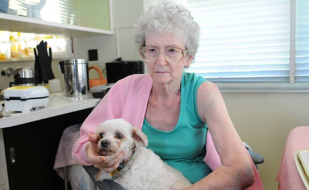 Little maltese Snowy fought above his weight to defend owner Dorothy Jacobsen when she was attacked by a dog Monday. Little maltese Snowy fought above his weight to defend owner Dorothy Jacobsen when she was attacked by a dog Monday.
