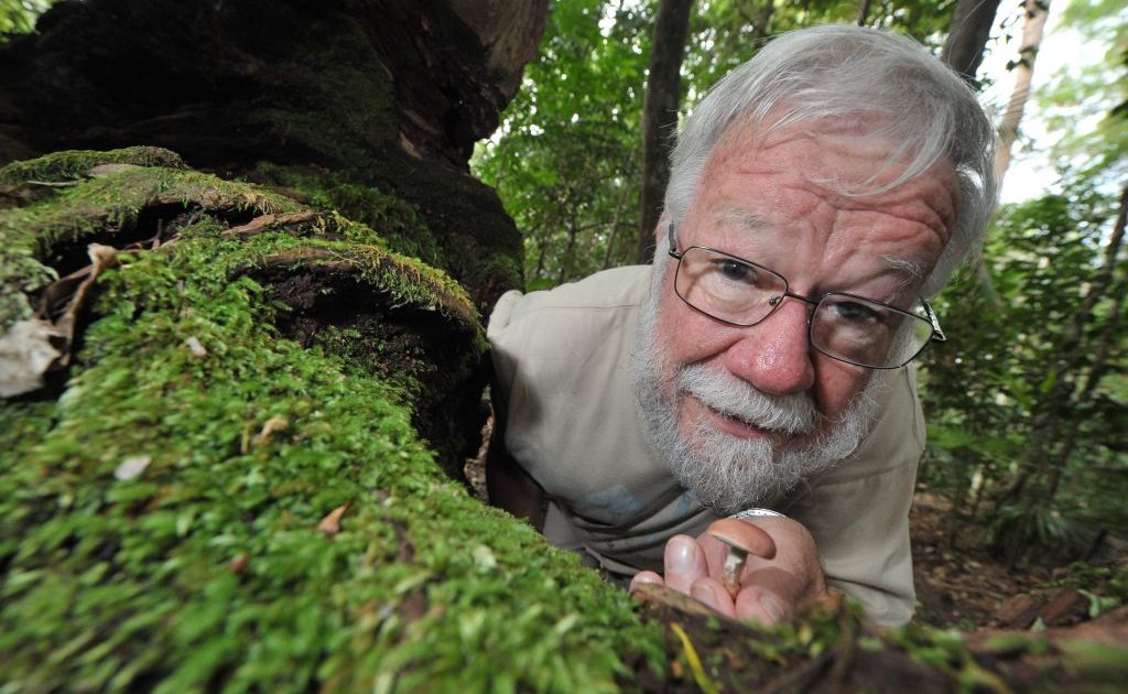 Mushroom expert Patrick Leonard knows his mushrooms. Mushroom expert Patrick Leonard knows his mushrooms.