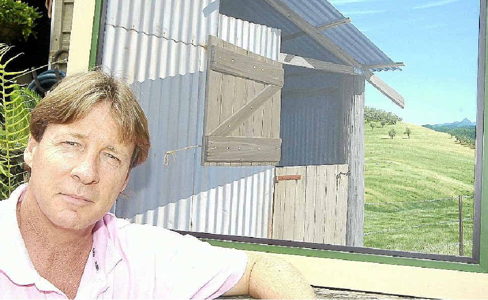 Tinbeerwah artist Tony Wellington’s dream is for a council that actively partners with its community.