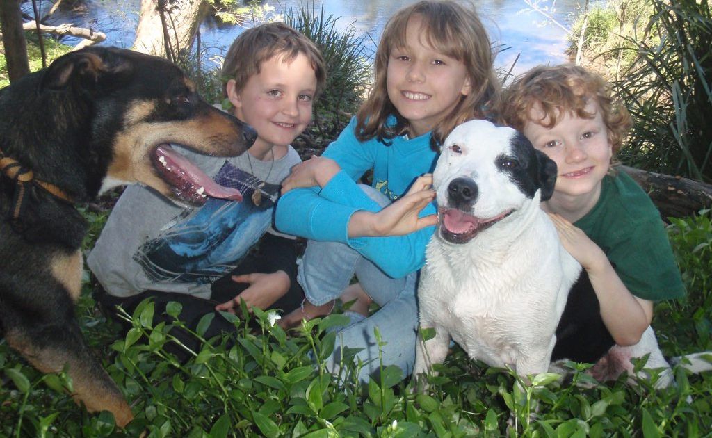 Give your special pet a healthy treat instead of chocolate. Give your special pet a healthy treat instead of chocolate.
