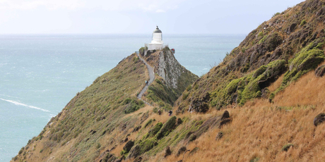 The walkway to the Catlins' Nugget Point lighthouse.
The walkway to the Catlins' Nugget Point lighthouse.