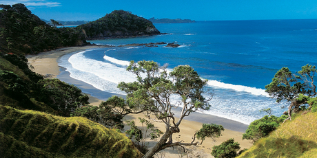 Beaches like Sandy Bay in Tutukaka are beautiful in any weather.
Beaches like Sandy Bay in Tutukaka are beautiful in any weather.