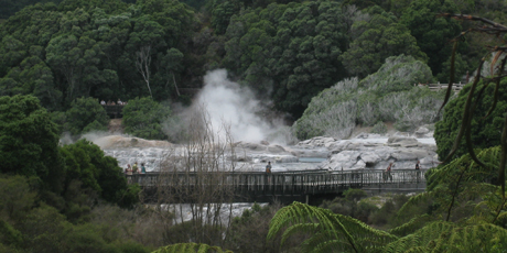 Te Puia's geysers send plumes of steam skyward.
Te Puia's geysers send plumes of steam skyward.