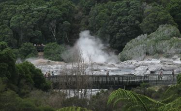 Te Puia's geysers send plumes of steam skyward.
Te Puia's geysers send plumes of steam skyward.