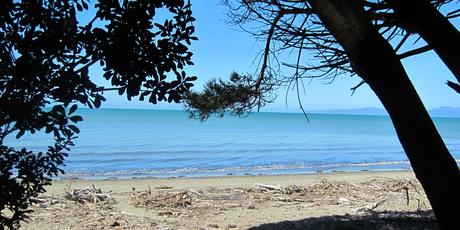 Golden Bay's beaches await... you just have to get over the hill first.
Golden Bay's beaches await... you just have to get over the hill first.