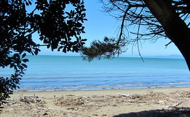 Golden Bay's beaches await... you just have to get over the hill first.
Golden Bay's beaches await... you just have to get over the hill first.