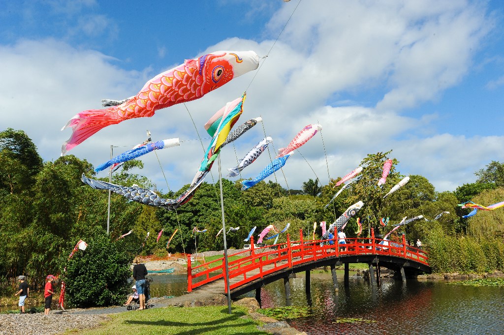 The annual Japanese Festival of Children's Day at Coffs Harbour's Regional Botanic Garden is a highlight of the Coffs Harbour cultural calendar.