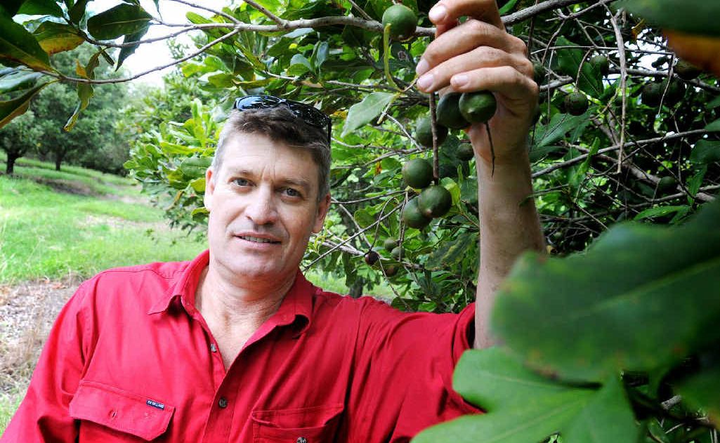 Wolvi macadamia grower Troy Ziesemer has been vindicated in court Wolvi macadamia grower Troy Ziesemer has been vindicated in court