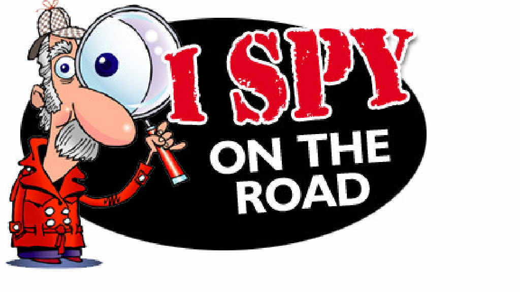 Cow shoulda looked left and right