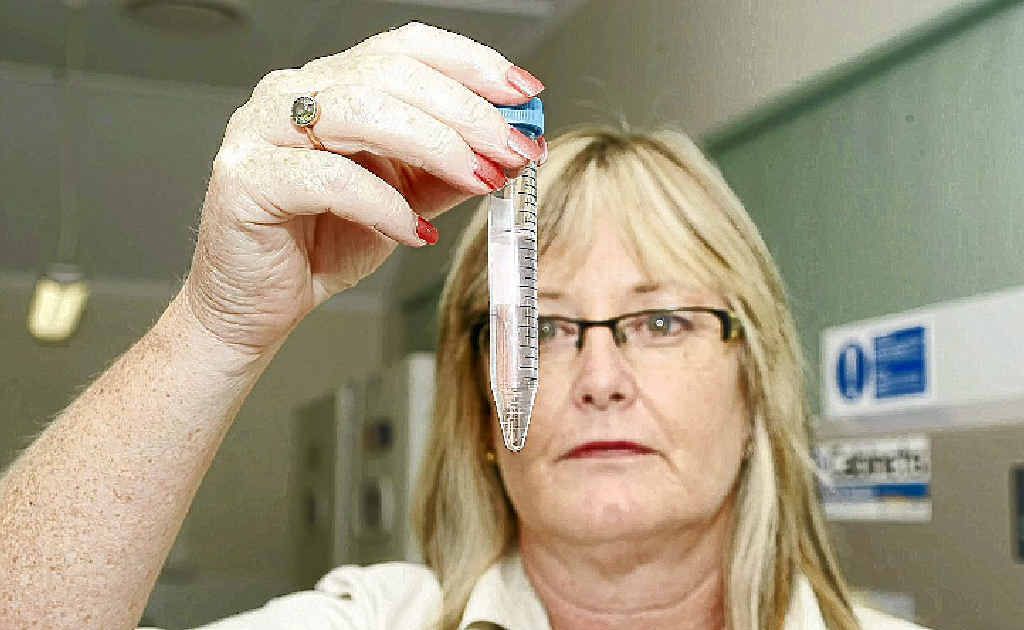 TEST TUBE BABIES: Fertility solutions unit manager Denise Donati in the clinic at Nambour. TEST TUBE BABIES: Fertility solutions unit manager Denise Donati in the clinic at Nambour.