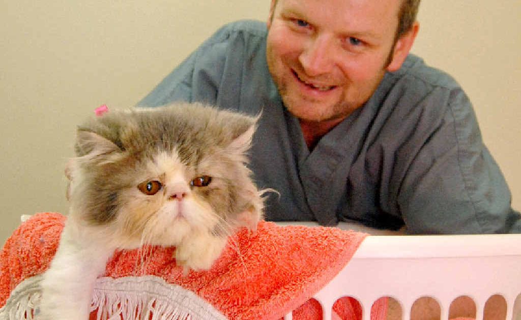 Better Pet Vets’ Dr Ashley Young with Me-lu, the Persian cat who survived after accidentally going through a full cycle in the washing machine. Better Pet Vets’ Dr Ashley Young with Me-lu, the Persian cat who survived after accidentally going through a full cycle in the washing machine.