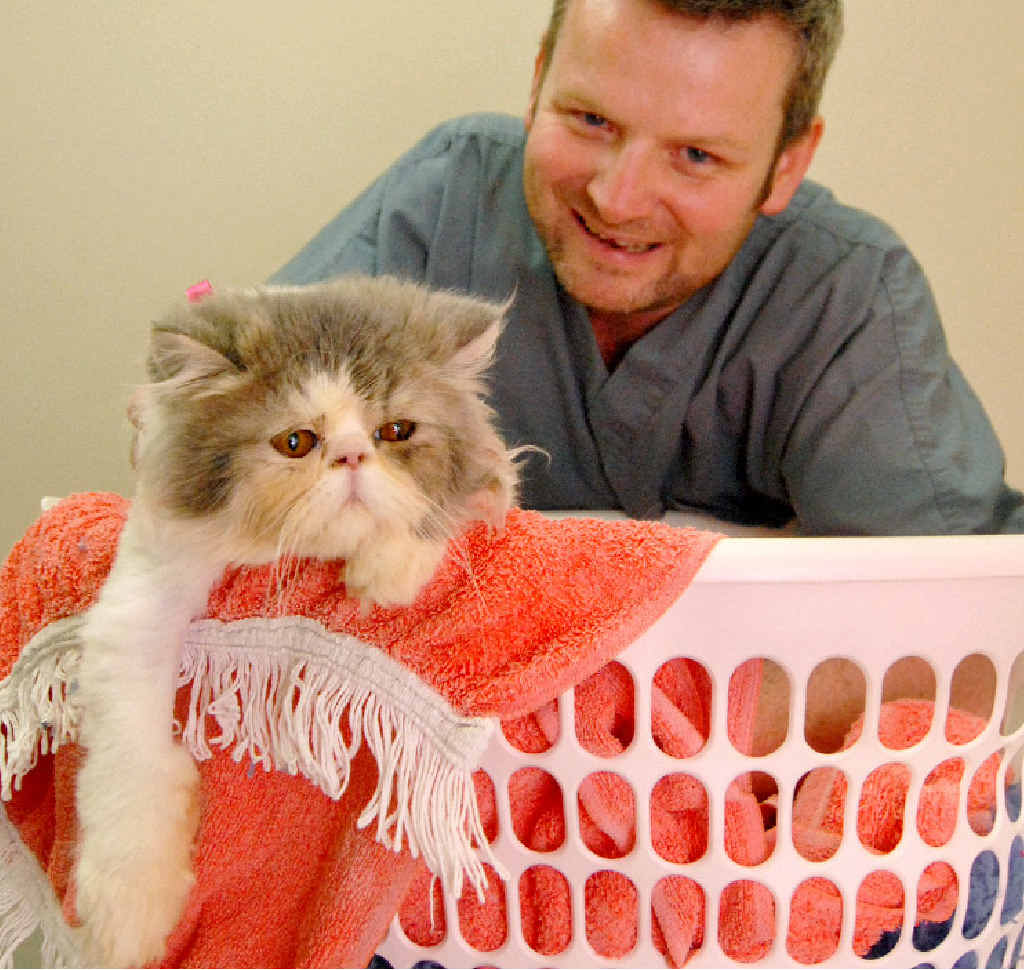 Better Pet Vets’ Dr Ashley Young with Me-lu, the Persian cat who survived after accidentally going through a full cycle in the washing machine. Better Pet Vets’ Dr Ashley Young with Me-lu, the Persian cat who survived after accidentally going through a full cycle in the washing machine.