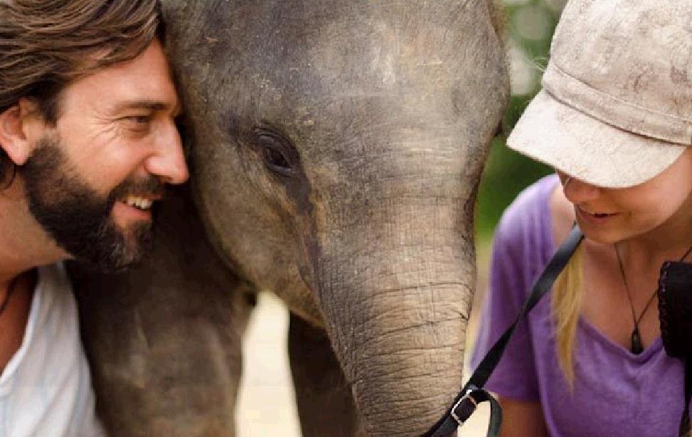 Bona is being cared for by environmentalists who hope to raise enough money to provide one year's care for the orphaned elephant. 